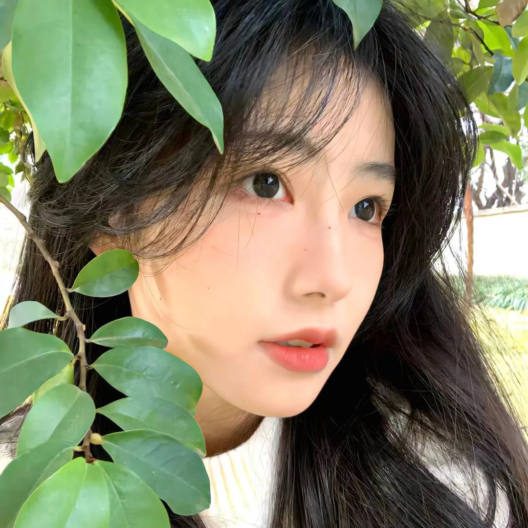 现代启示录之子